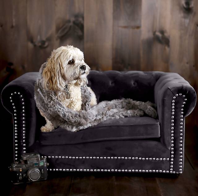 Minnear Gray Pet Bed - Thumbnail - Image 2