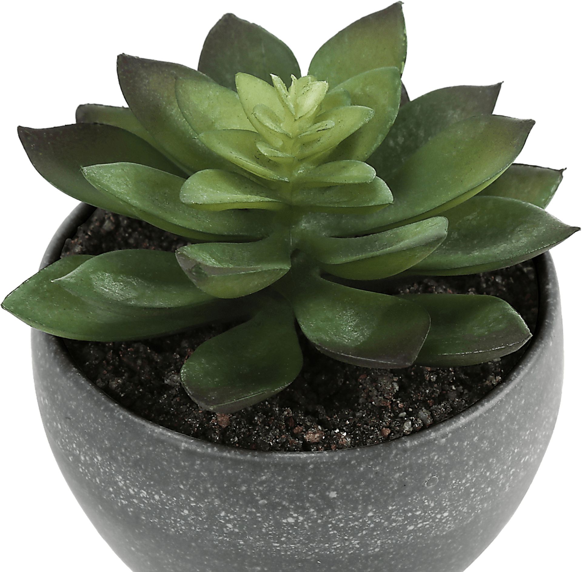 Mitscher Green Artificial Succulent Plant, Set of 3 - Image 5
