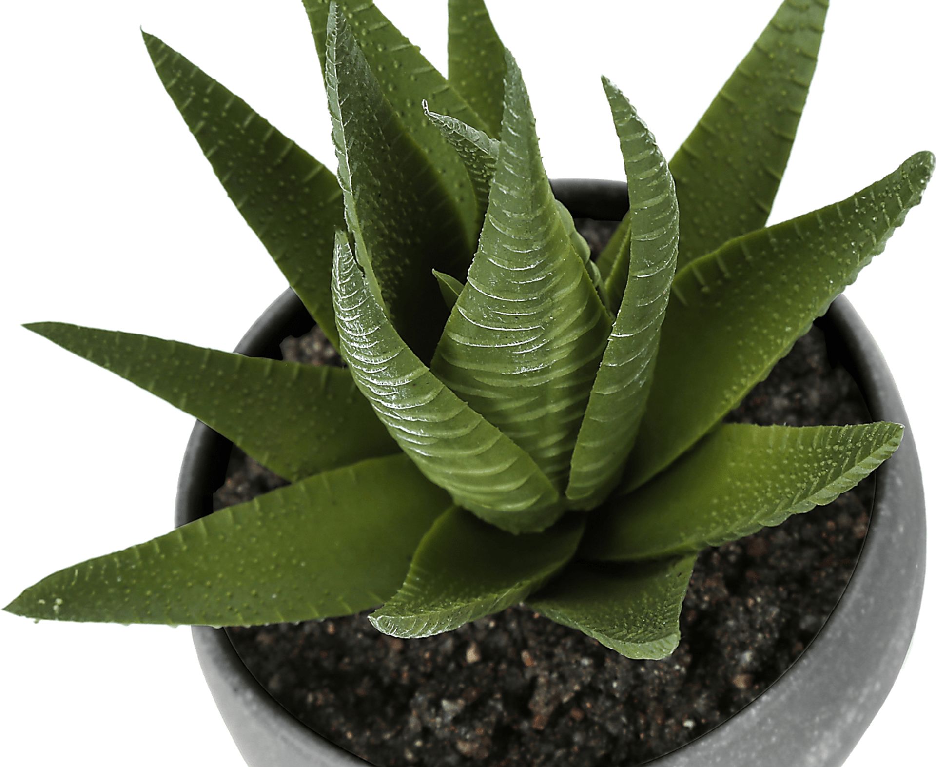 Mitscher Green Artificial Succulent Plant, Set of 3 - Image 6