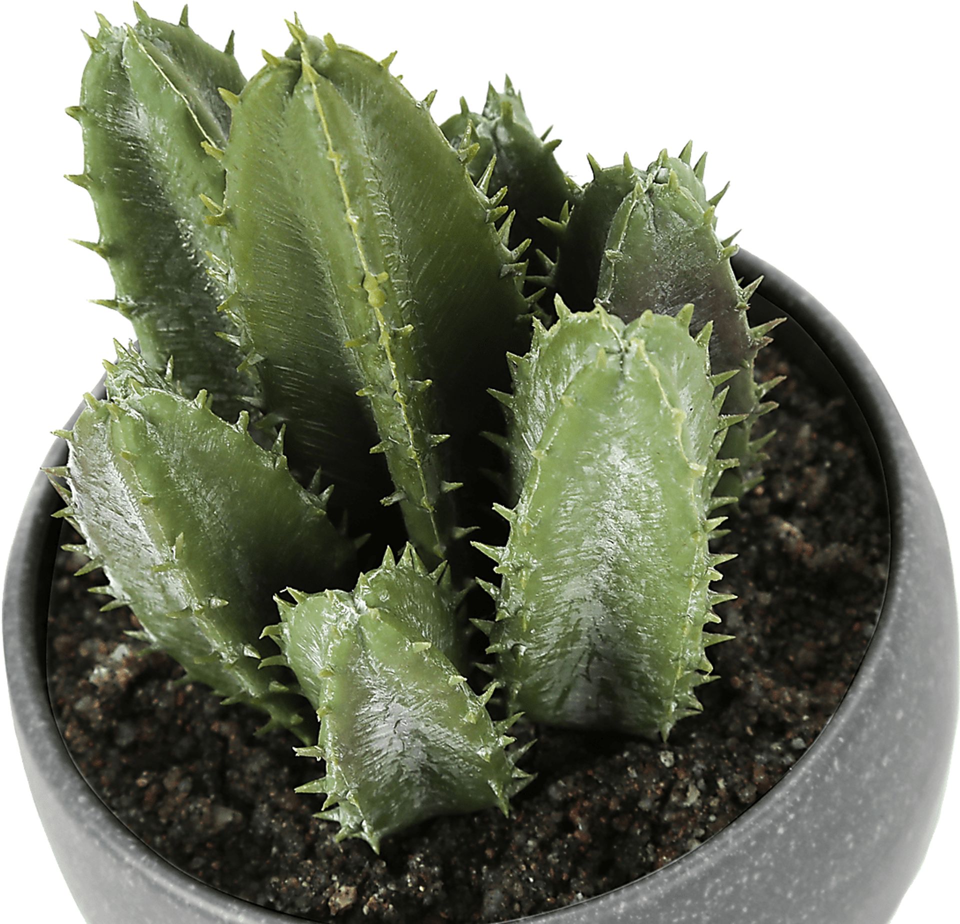 Mitscher Green Artificial Succulent Plant, Set of 3 - Image 7
