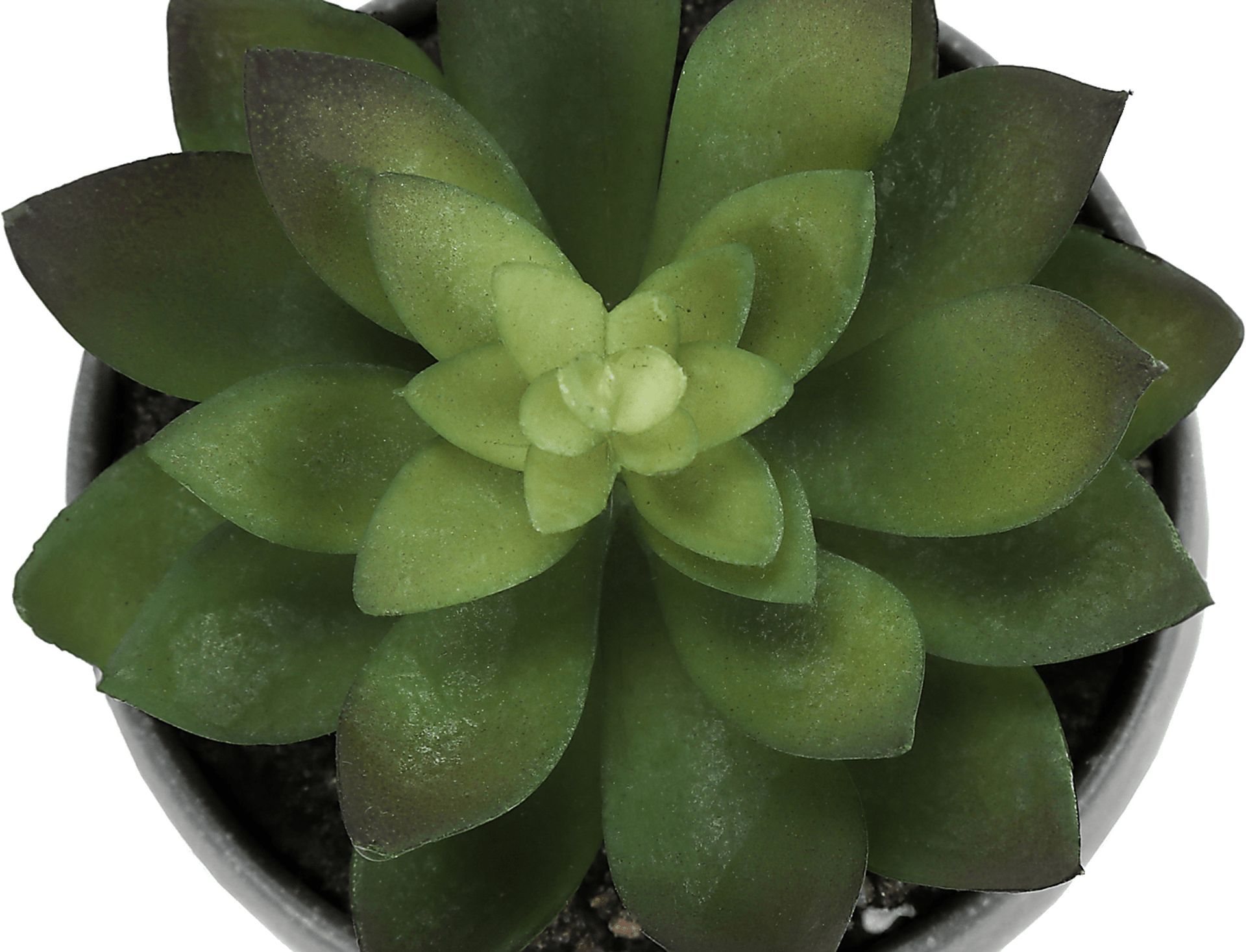 Mitscher Green Artificial Succulent Plant, Set of 3 - Image 8