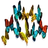 multi