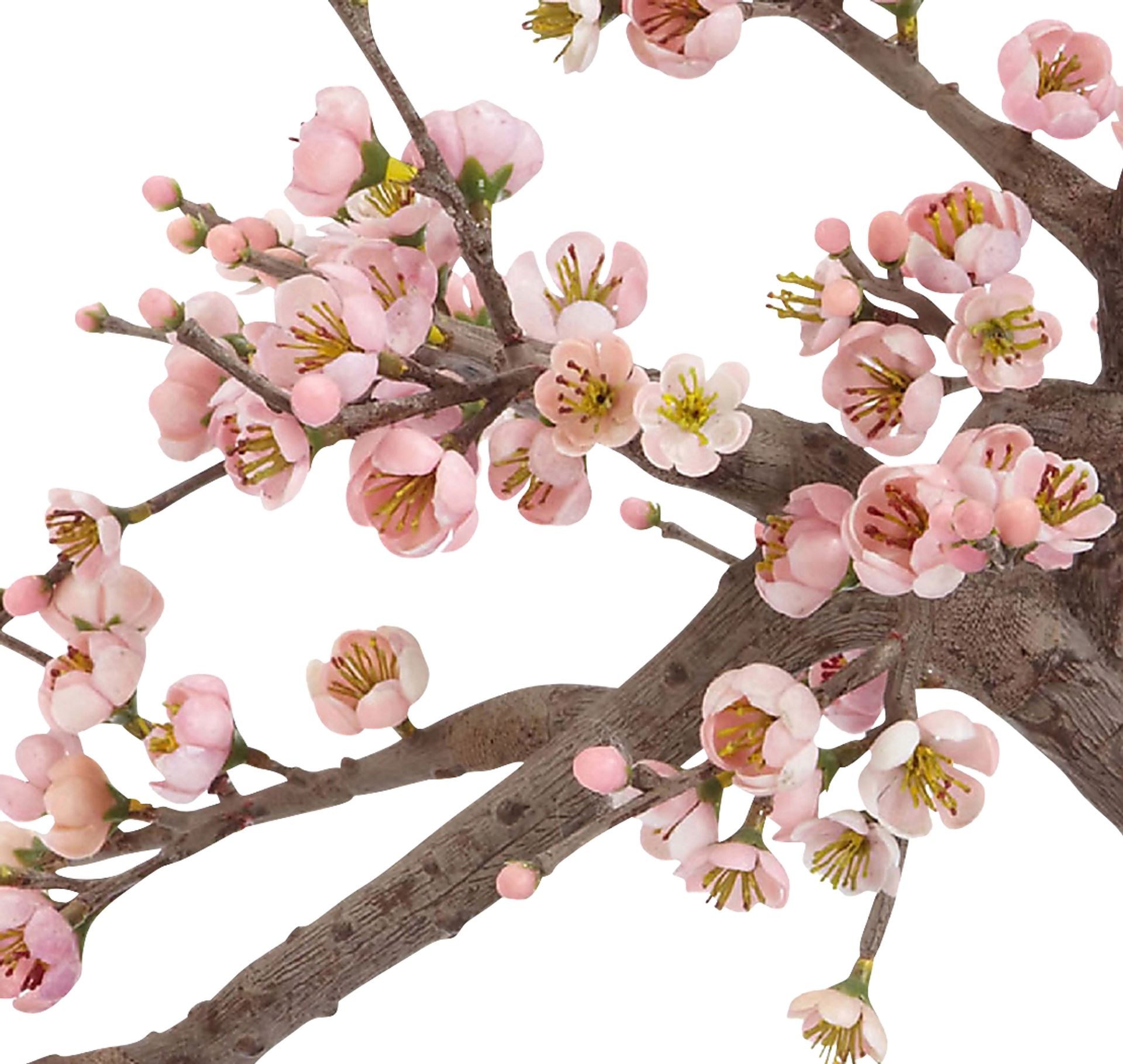 Miyah Pink Cherry Blossom Silk Tree - Image 2