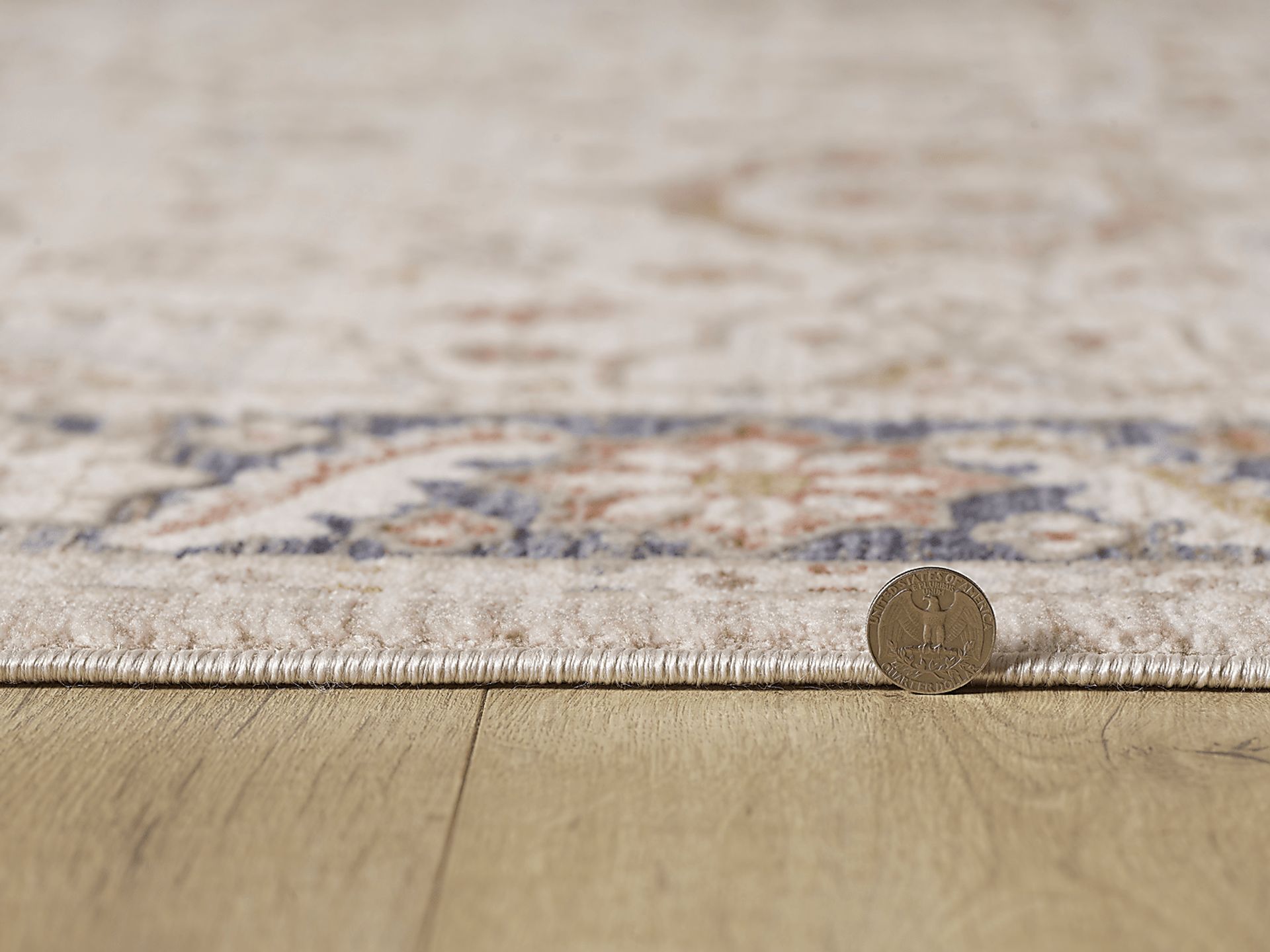 Moleah Ivory 5'3 x 7'10 Rug - Image 5