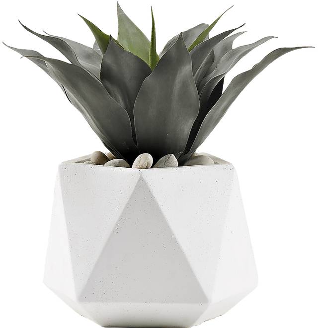 Morelia Green 16 in. Artificial Agave Plant in White Planter - Thumbnail - Image 1