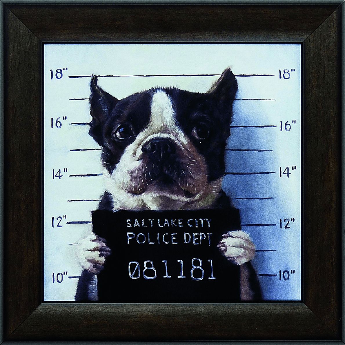 Kids Mug Shot Artwork - Rooms To Go