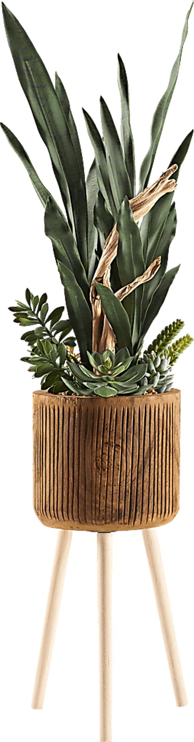 Murguia Brown Silk Plant - Thumbnail - Image 1