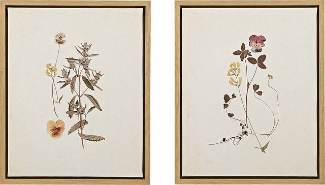 Muscatel Multi Framed Canvas, Set of 2 - Thumbnail - Image 1