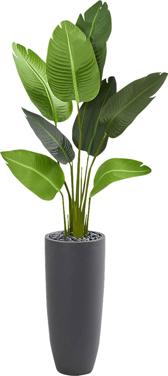 Myanna Green Palm Silk Tree - Thumbnail - Image 1