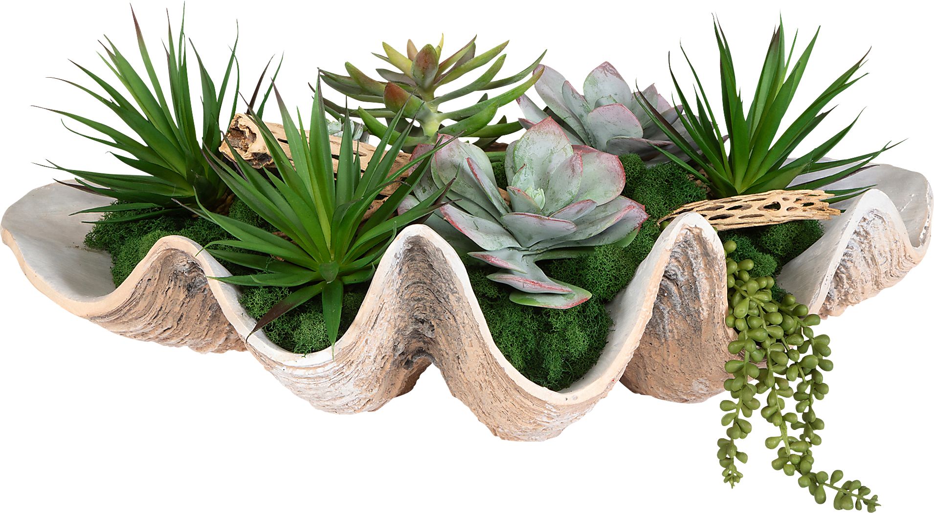 Nalula Green Silk Plant