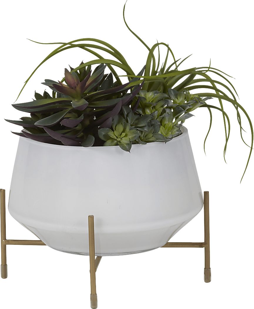 Nathyn Green Tillandsia Silk Plant