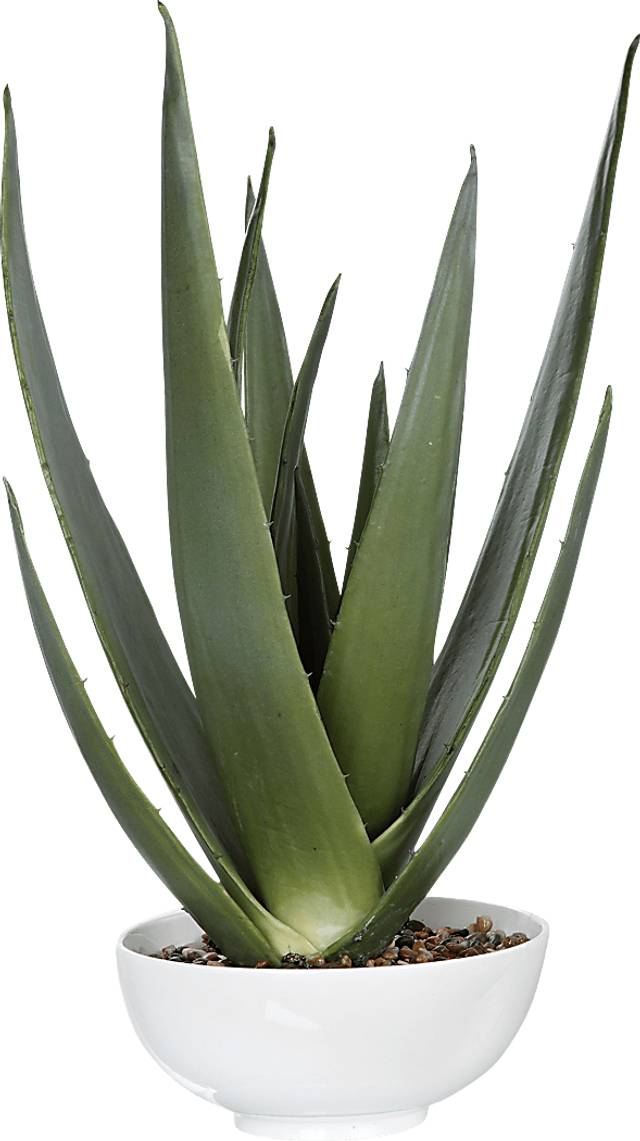 Naura White Decorative Planter - Thumbnail - Image 1