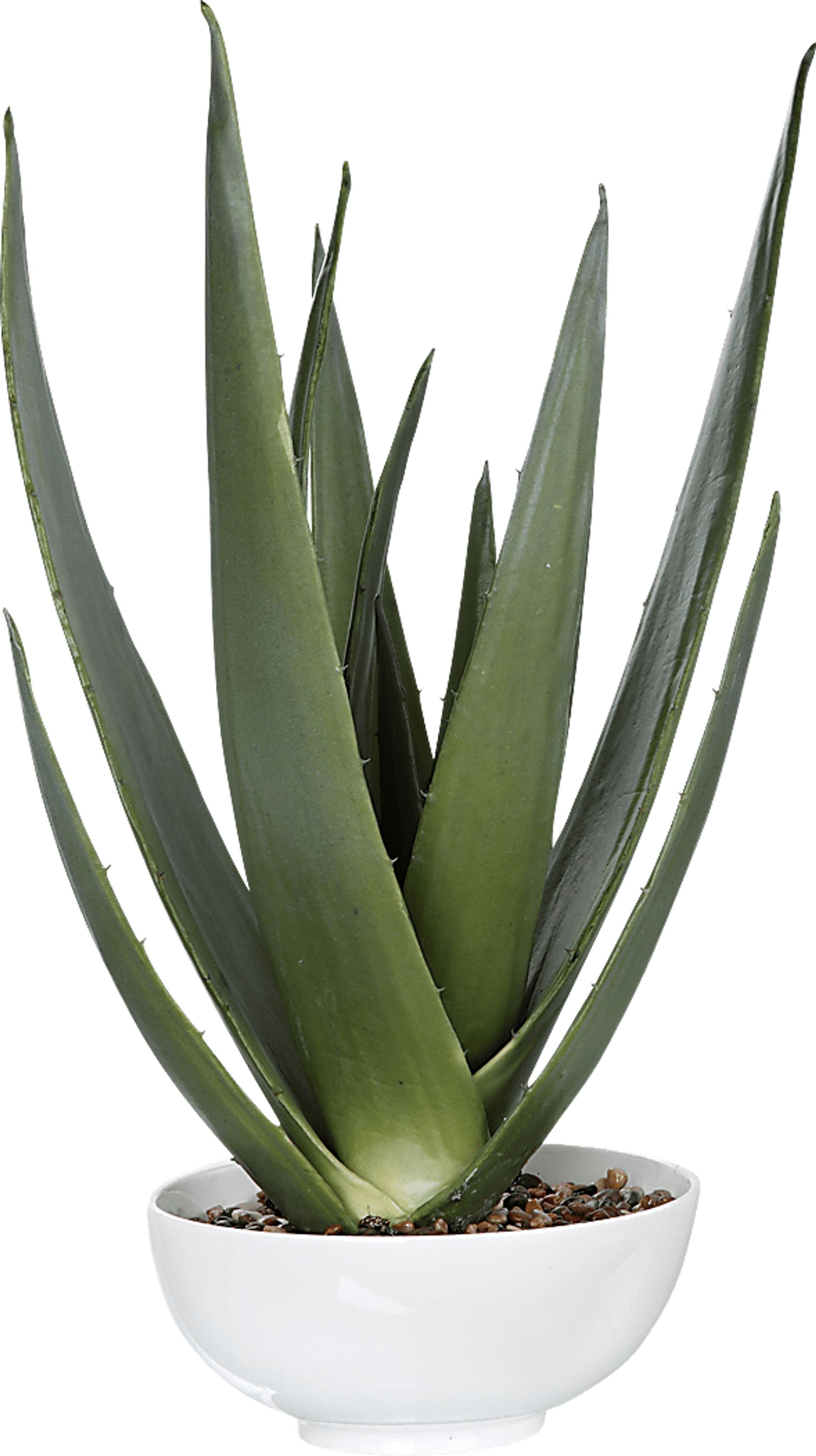 Naura White Decorative Planter - Image 1