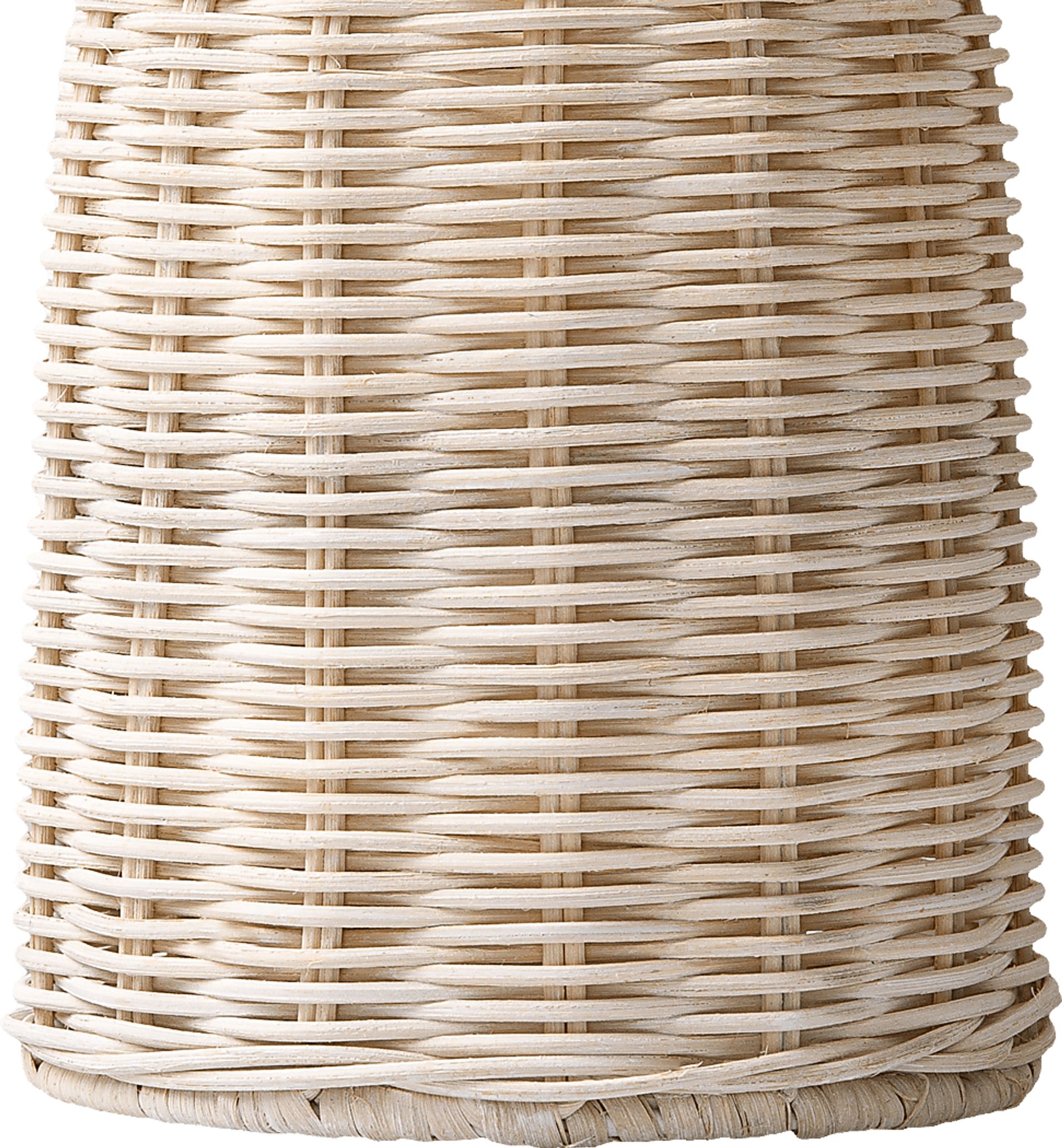 Nautilis Reef Natural Lamp - Image 3