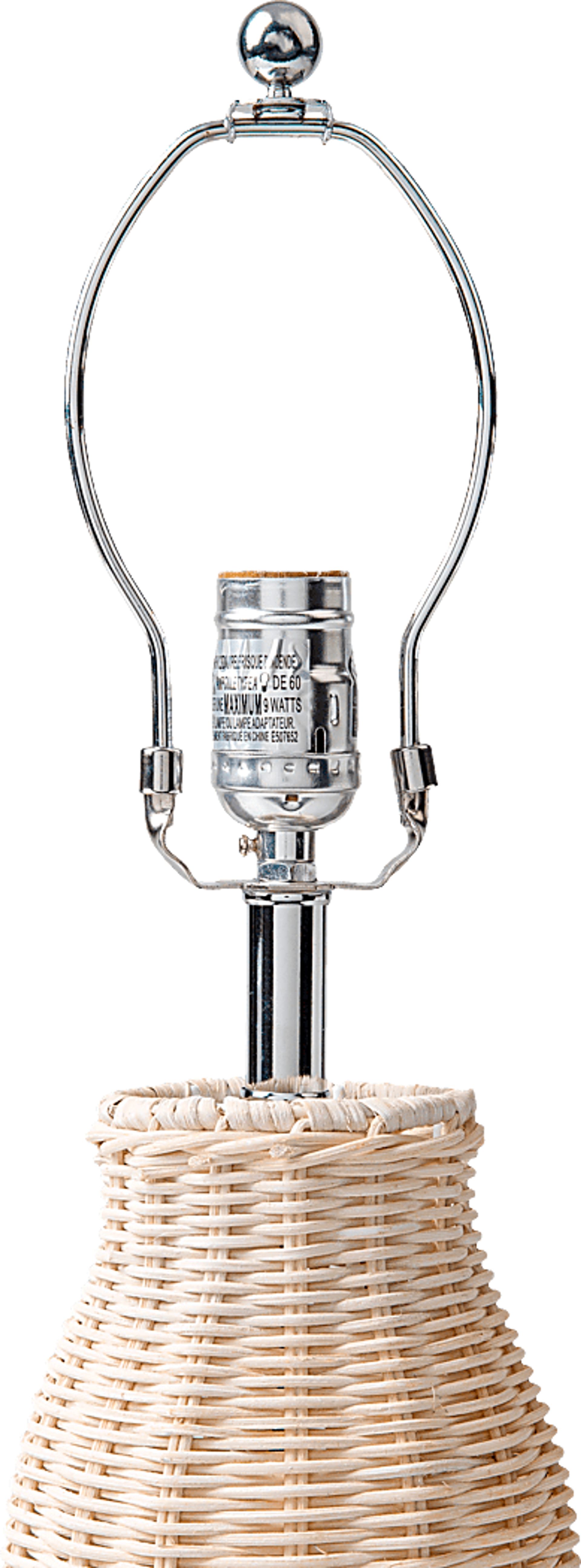 Nautilis Reef Natural Lamp - Image 4