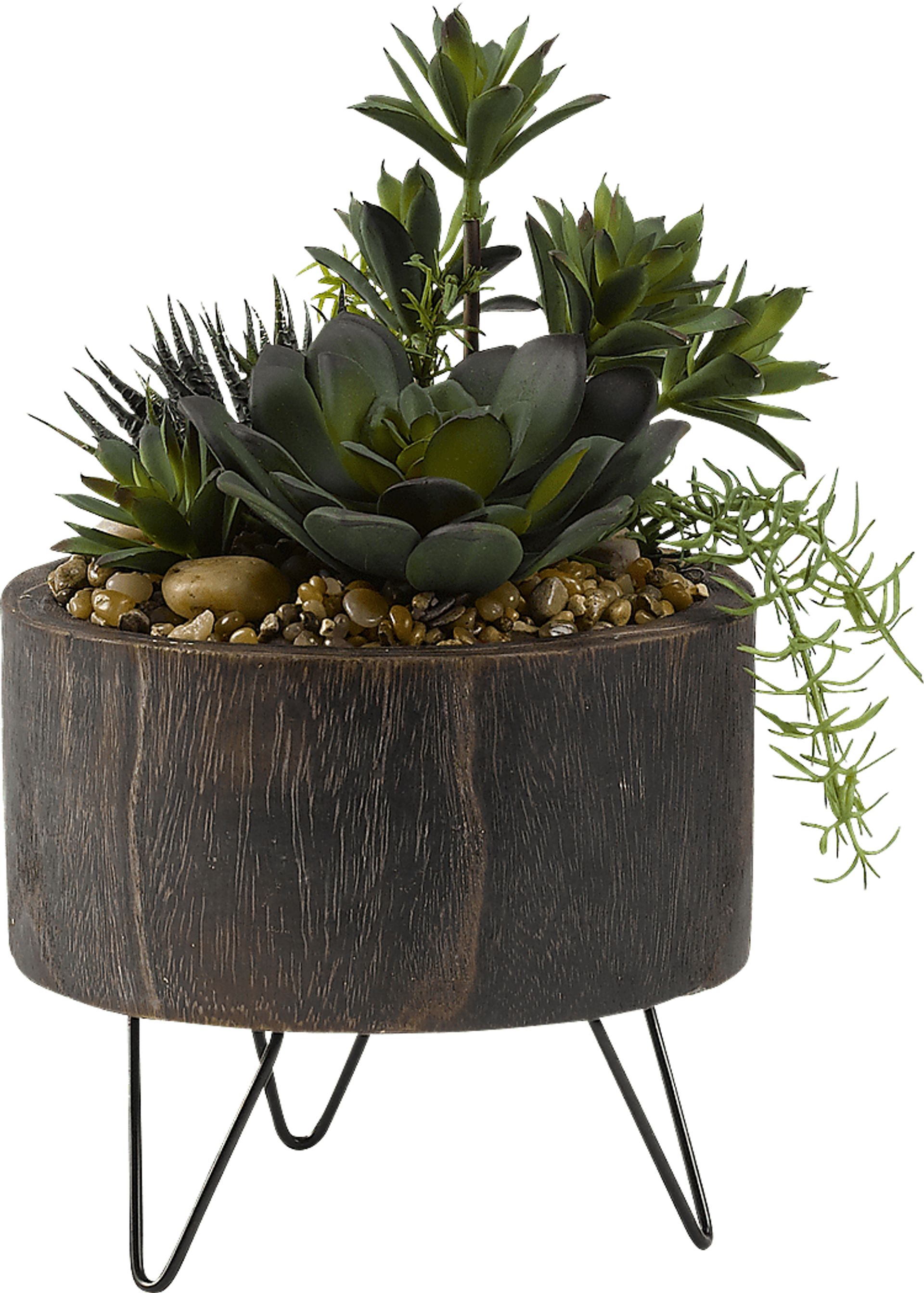 Navya Green Echeveria Silk Plant - Image 1