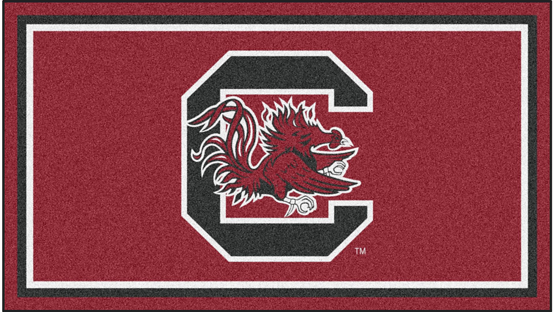 NCAA Big Game University of South Carolina 3' x 5' Rug - Image 1