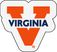 NCAA Football Mascot University of Virginia 1'6" x 2' Rug
