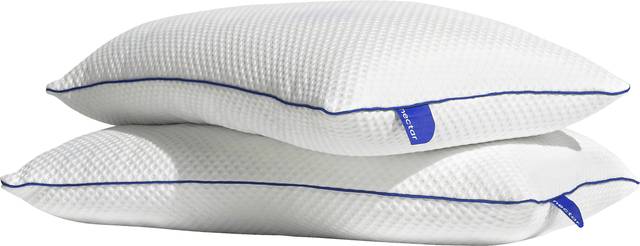 Nectar Standard Pillow, Set of 2 - Thumbnail - Image 1