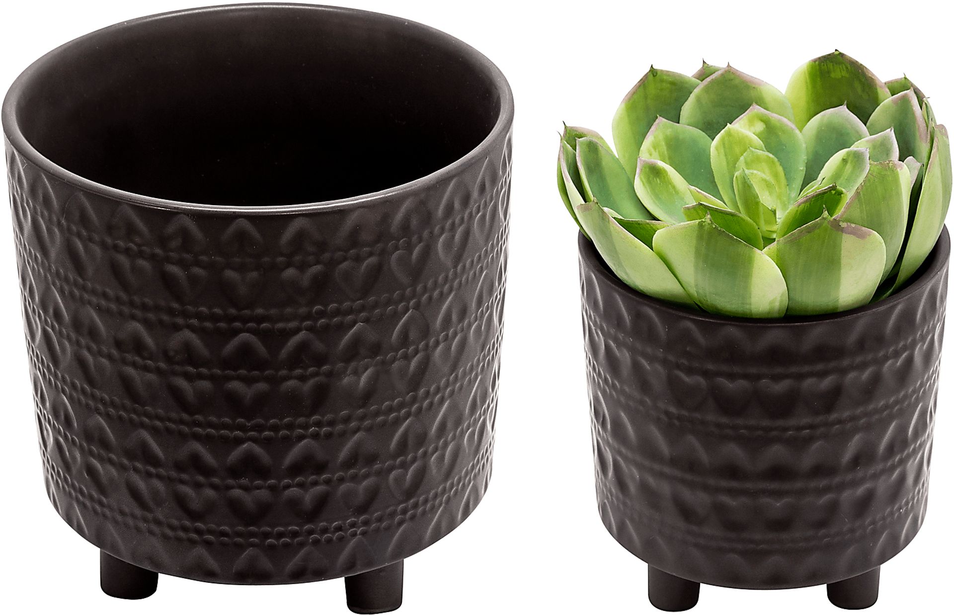 Nellda Black Planter, Set of 2 - Image 5