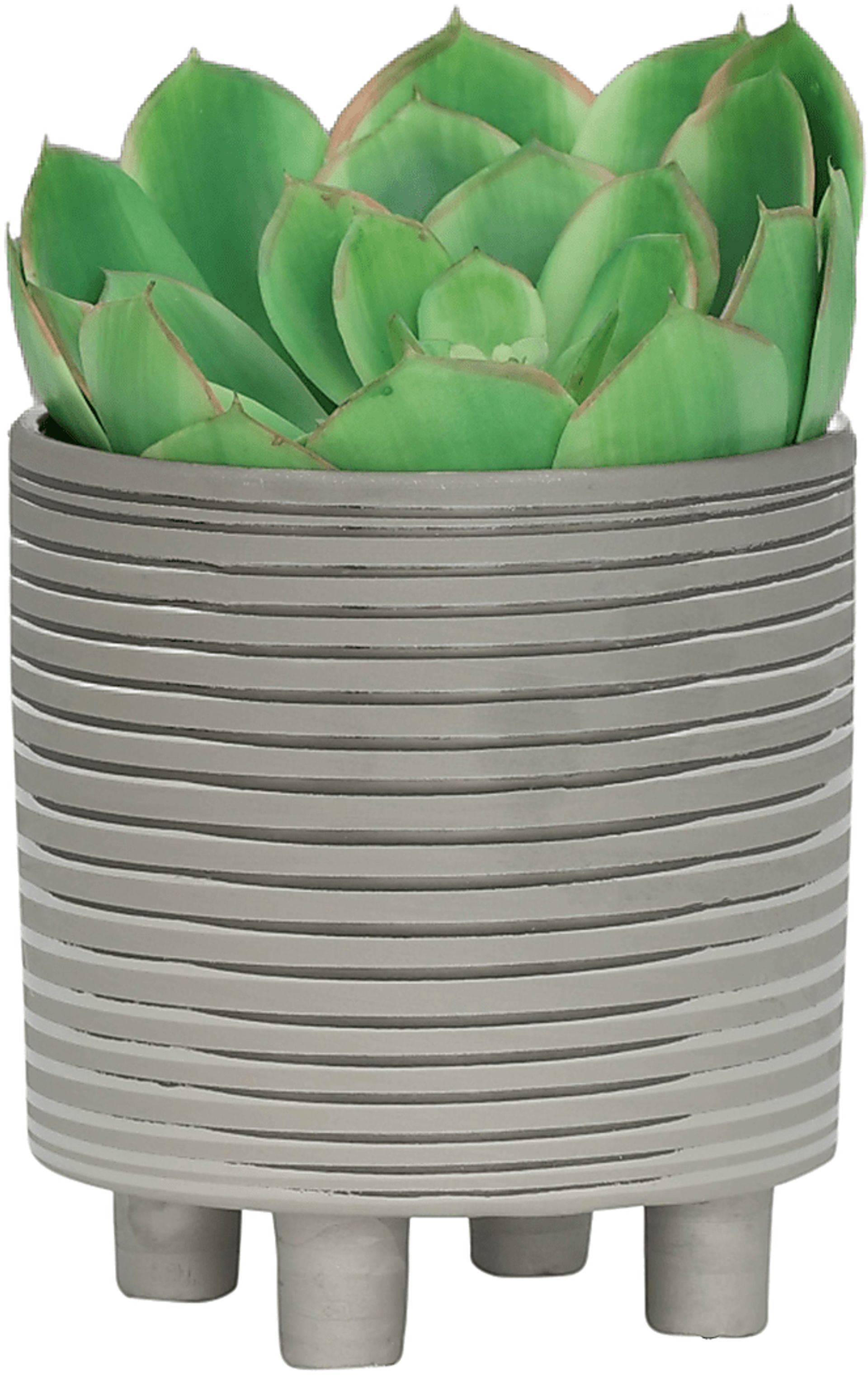 Nellda Silver Planter, Set of 2 - Image 5