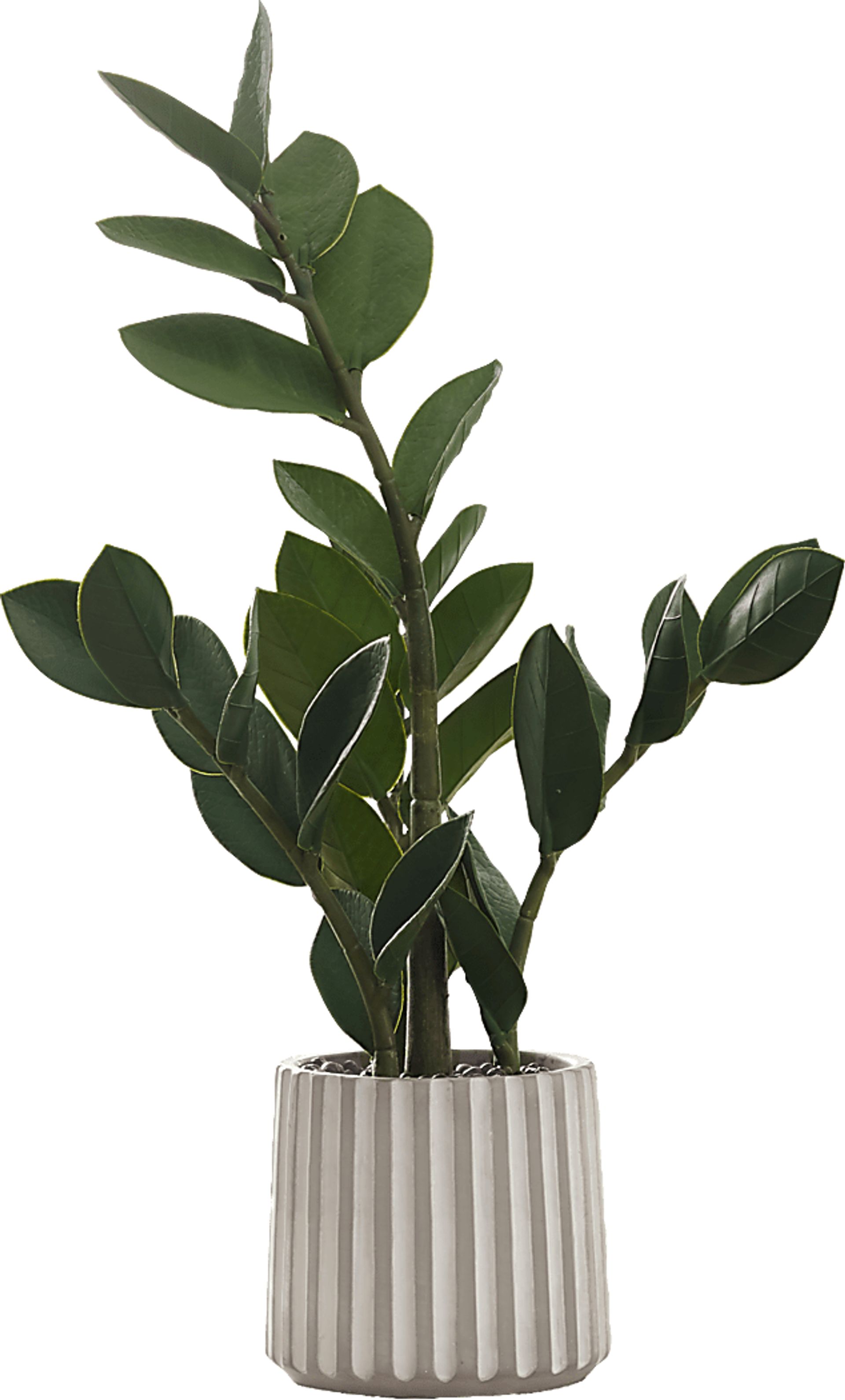 Neotropical Green Artificial ZZ Plant - Image 1