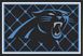 NFL Big Game Carolina Panthers 5' x 8' Rug