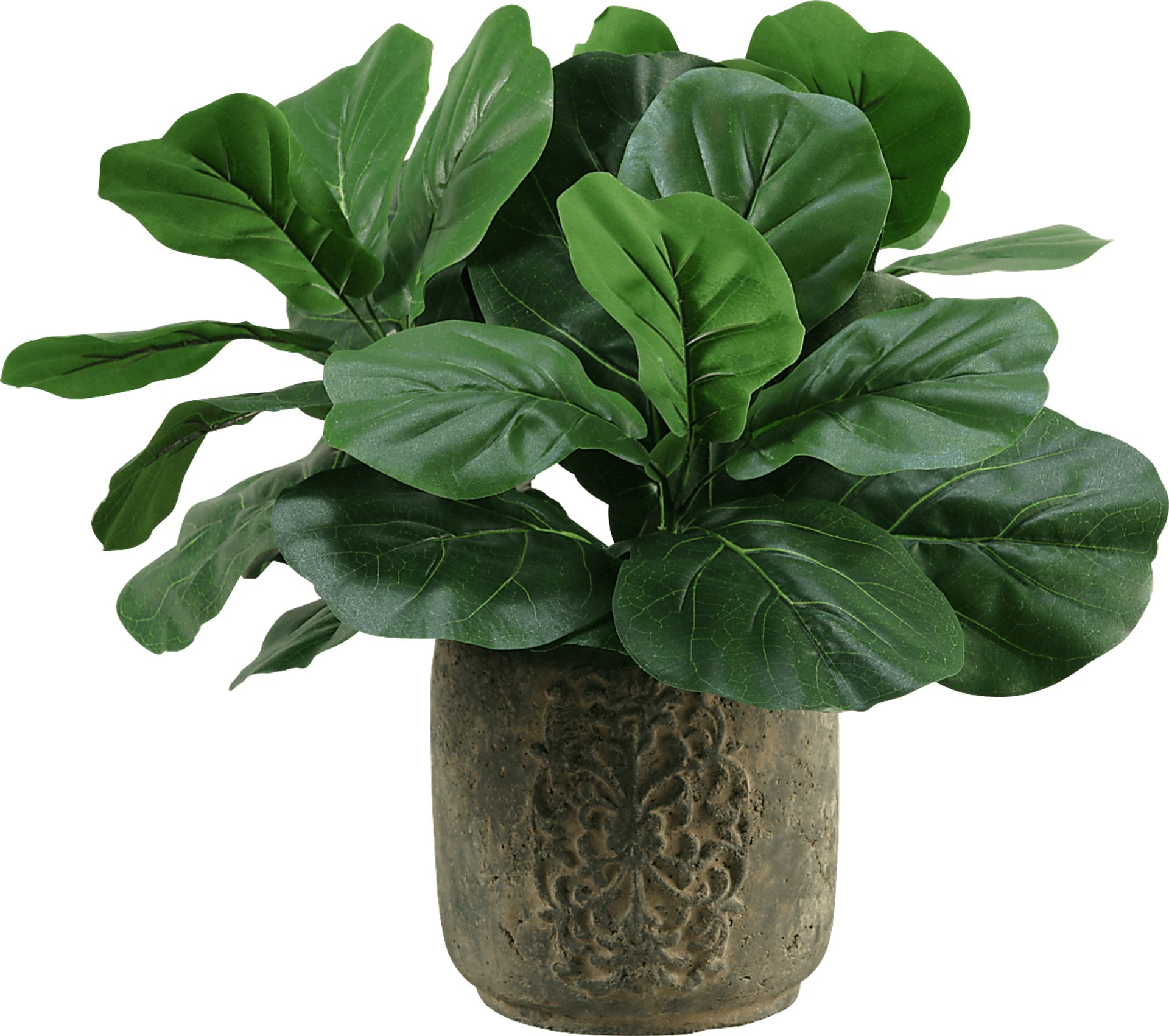 Niall Green Fiddle Leaf Fig Silk Plant - Image 1