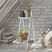 Niangua White Indoor/Outdoor Plant Stand