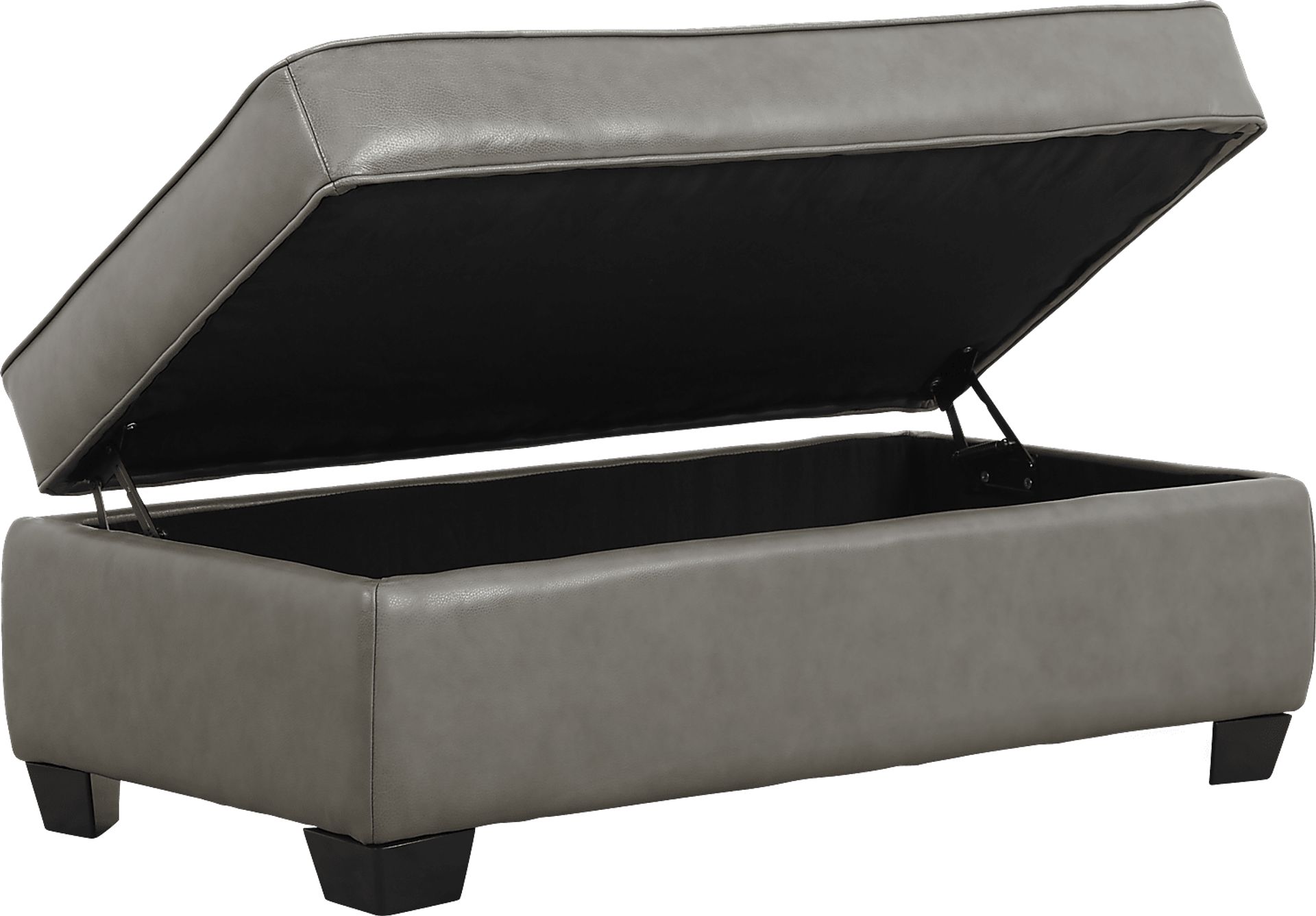 Nikola Place Gray Leather Storage Ottoman - Image 2