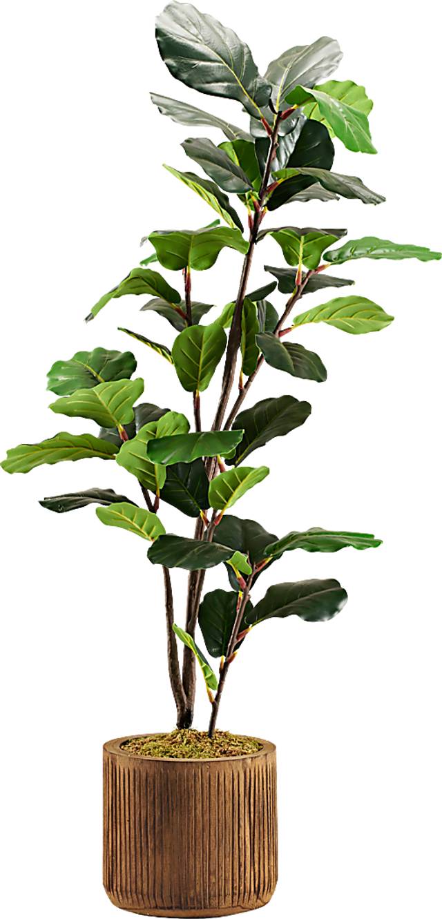 Noarco Brown Tree - Thumbnail - Image 1
