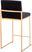 Nowotny Black Gold Velvet Counter Height Stool Set of 2