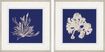 Noyant II Blue Set of 2 Artwork