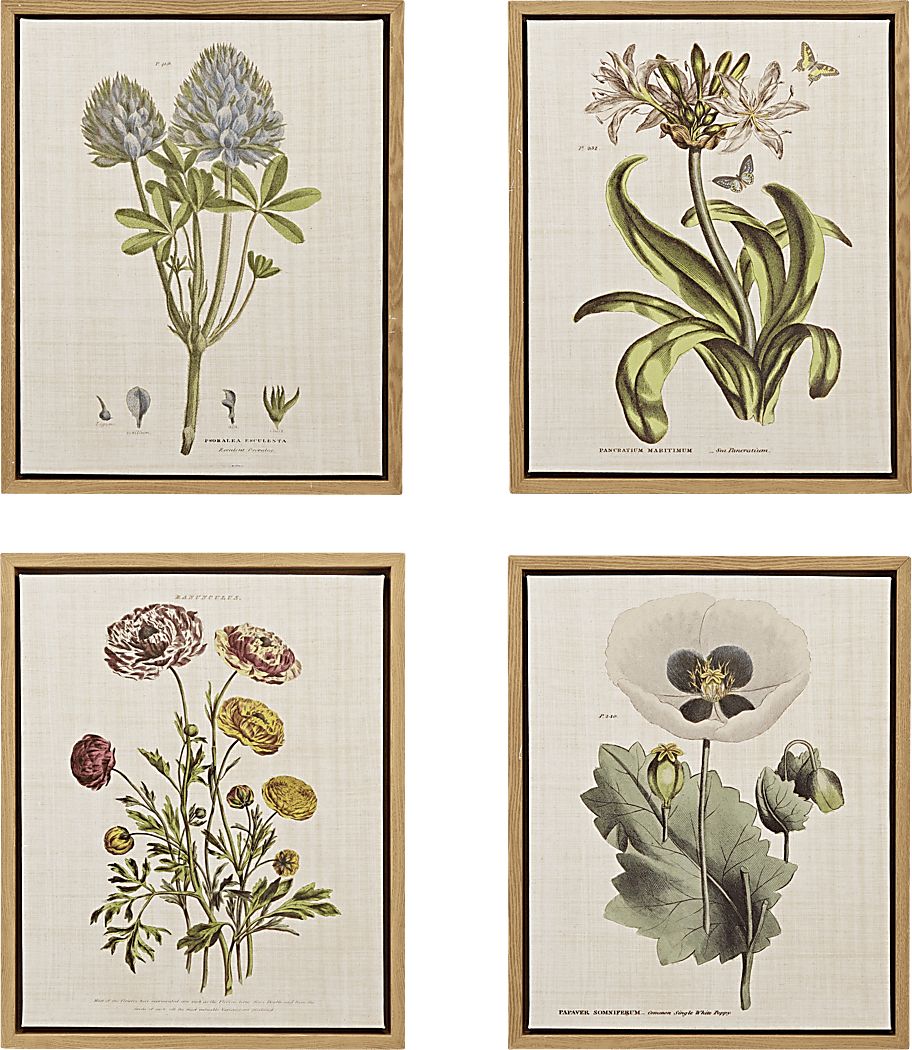 Nucham Green Artwork, Set of 4
