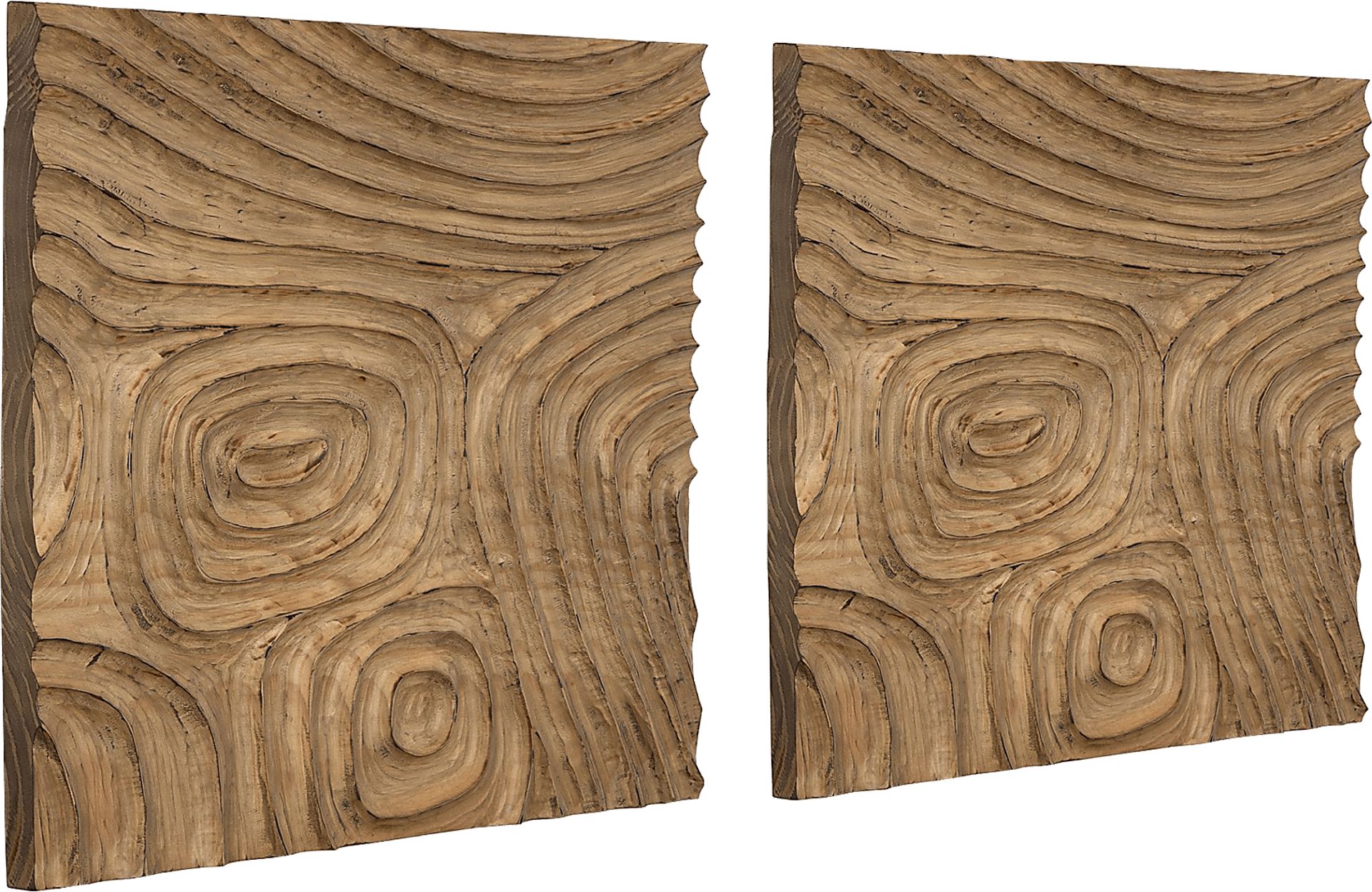 Nury Natural Wall Decor, Set of 2 - Image 5