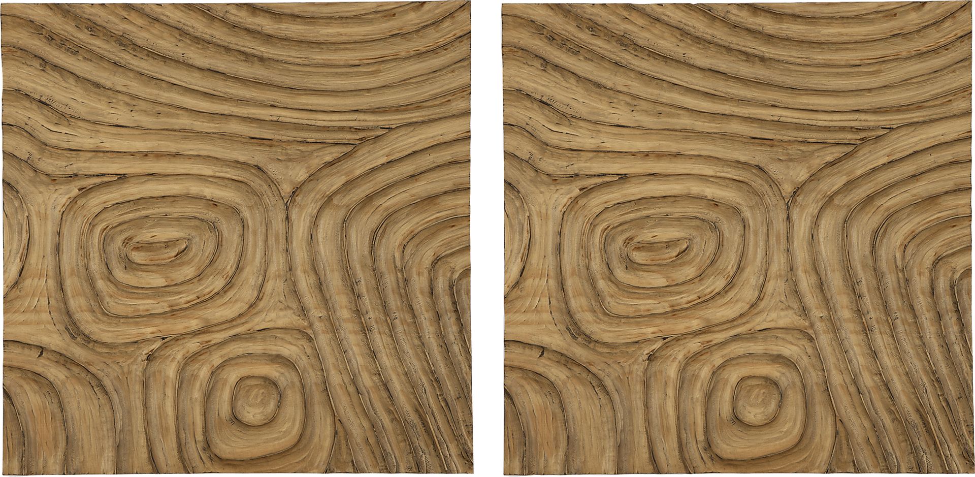 Nury Natural Wall Decor, Set of 2 - Image 1