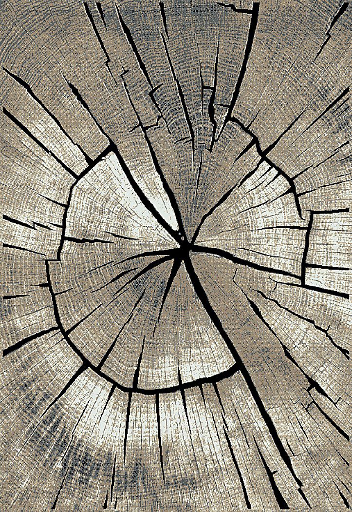 Oakham Gray 5' x 7'3 Rug