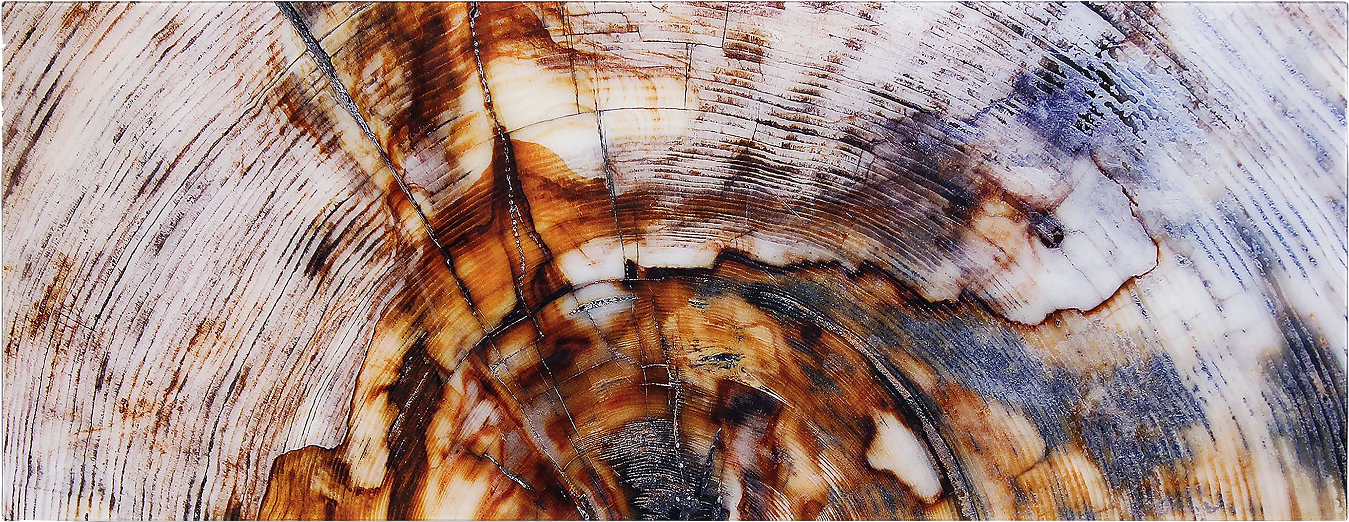 Obeche I Multi Artwork