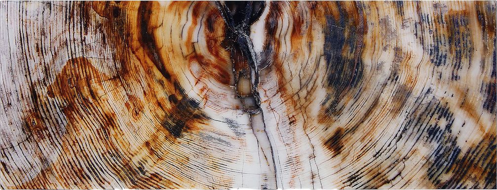 Obeche II Multi Artwork