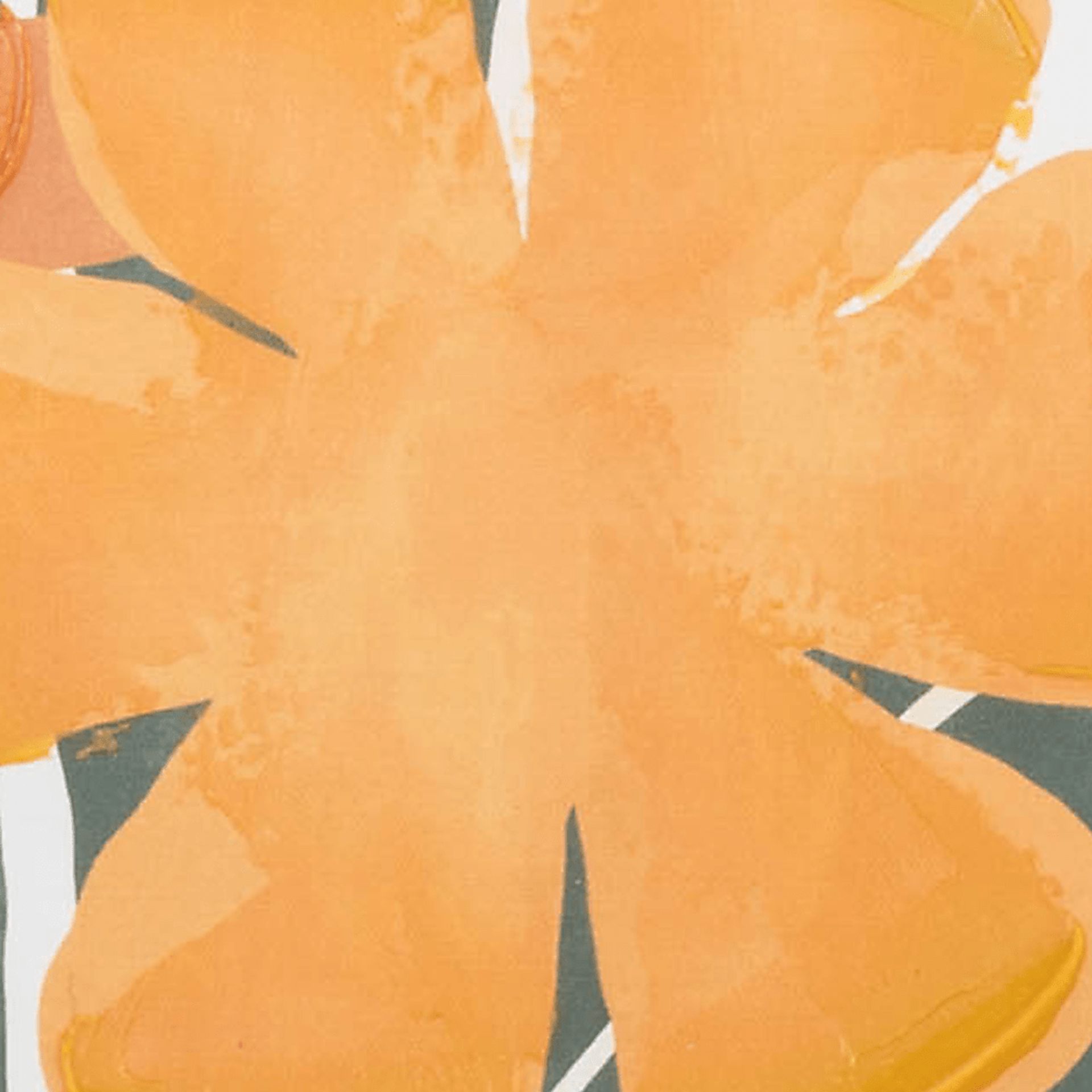 Olleh Orange Artwork - Image 6