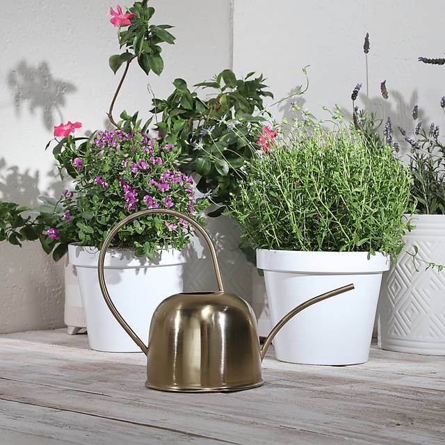 Oneidea Gold Watering Can - Thumbnail - Image 2