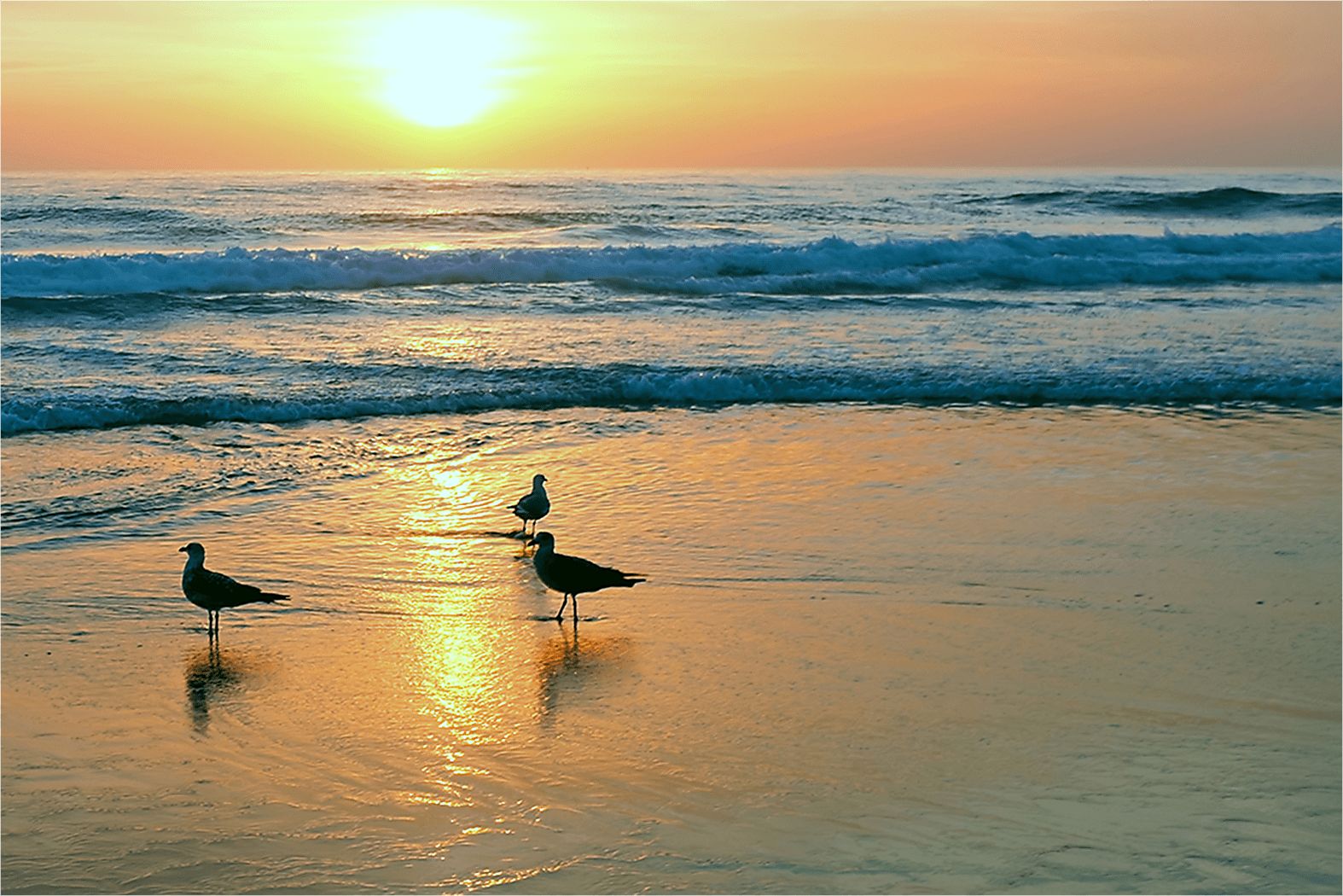 Opper Orange Artwork