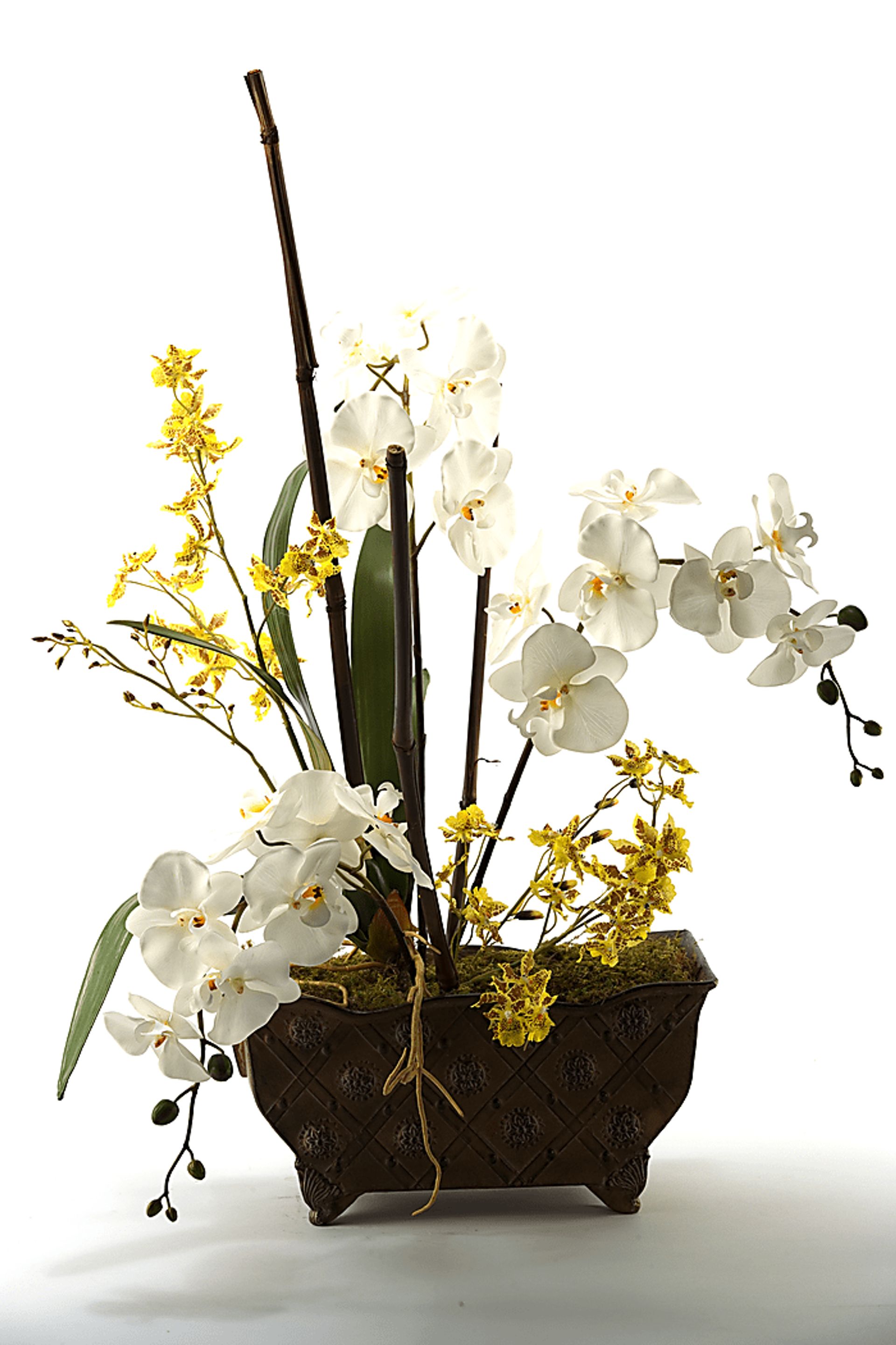 Orchids in Planter - Image 1