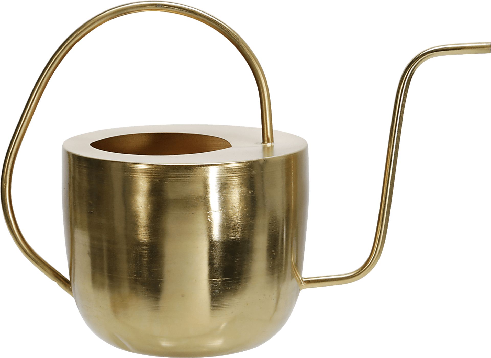 Orlon Gold Watering Can - Image 1