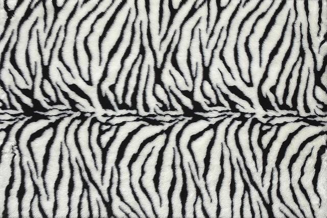 Out of Africa Zebra Rug - Thumbnail - Image 1