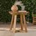 Outdoor Arborhazy Natural End Table