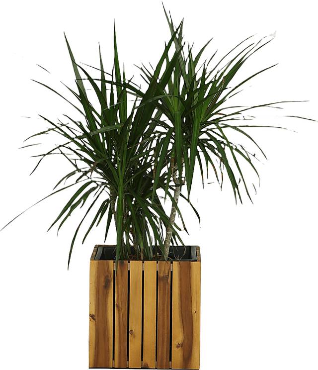Outdoor Burgee Brown Square Planter - Thumbnail - Image 4