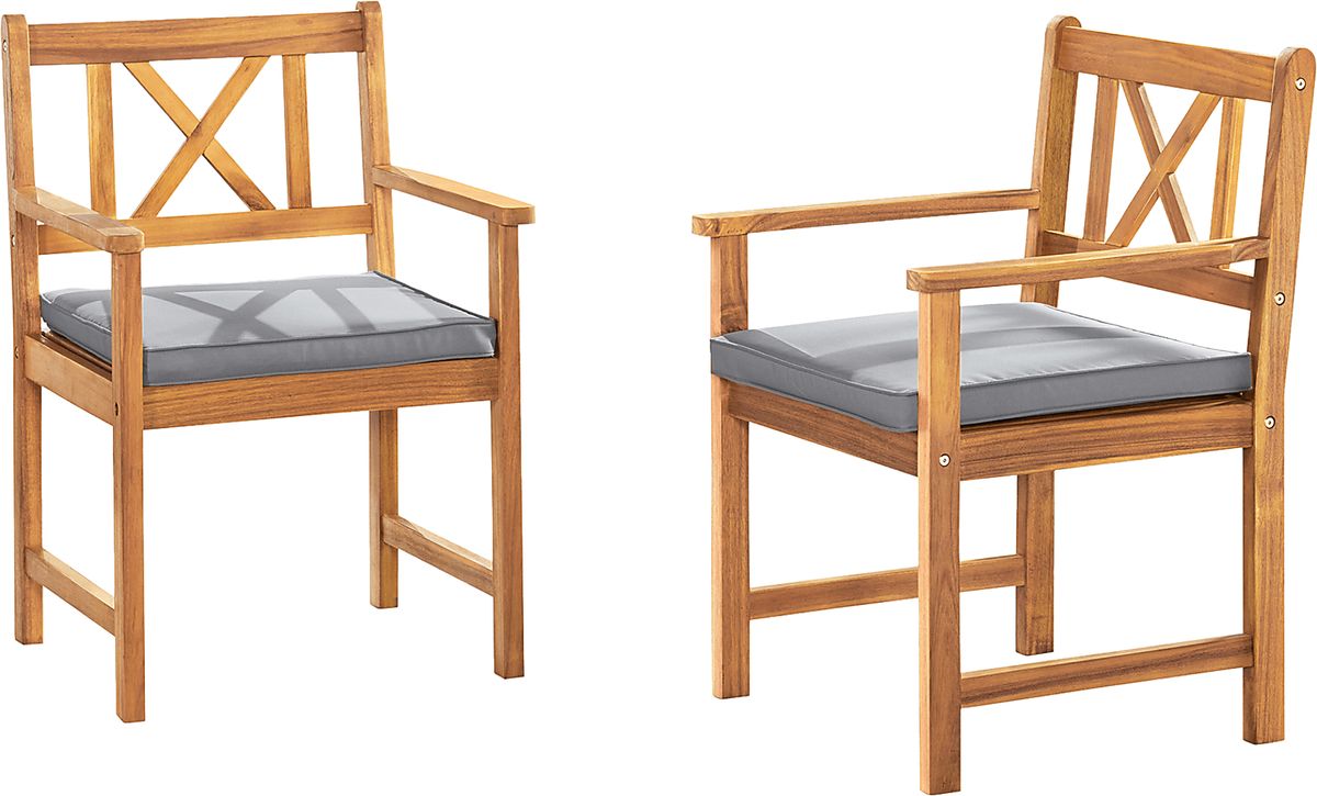 Chettro Brown Polyester Fabric Outdoor Dining Chair Set Of 2 Rooms to Go