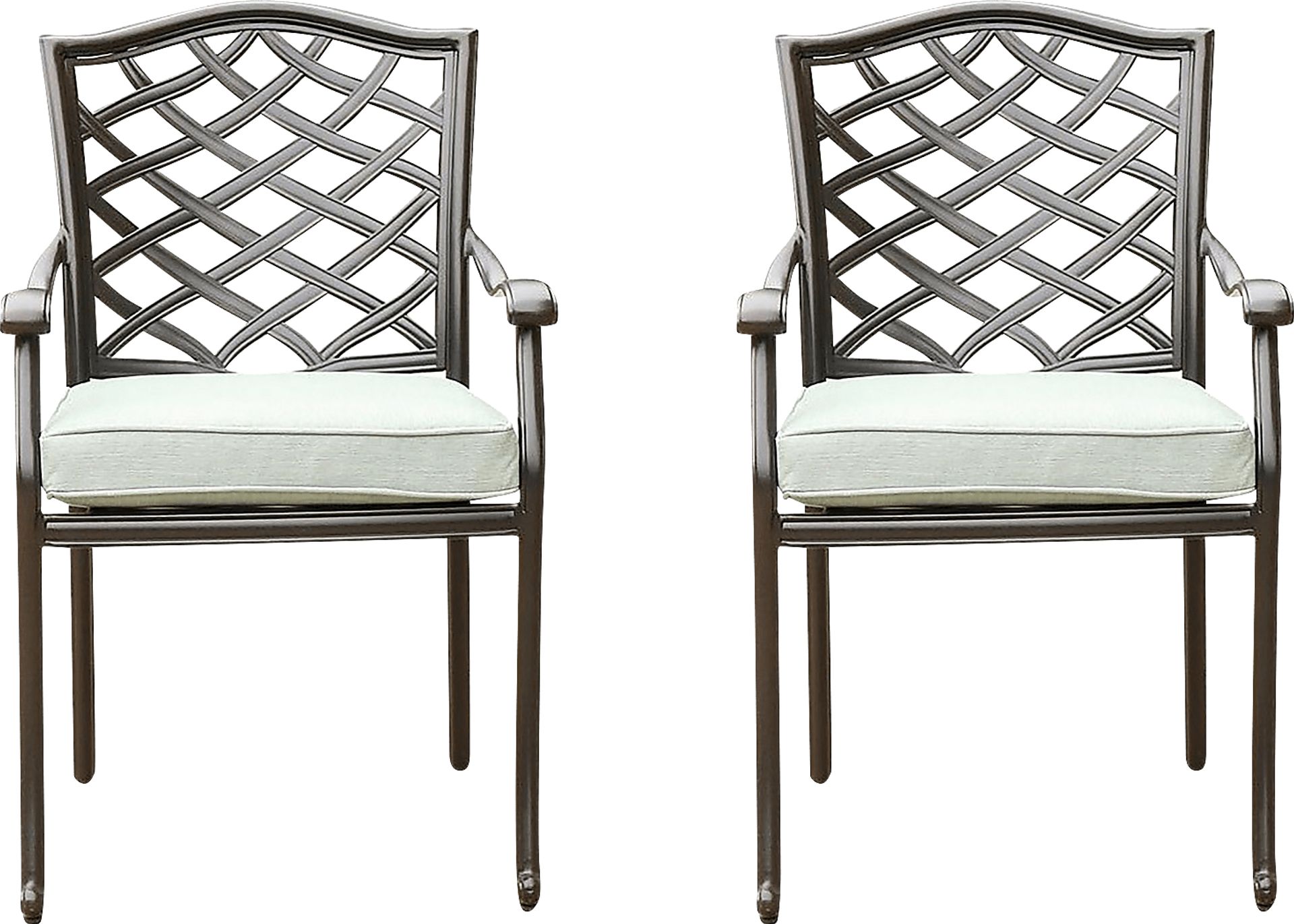 Outdoor Cyrielle I Gray Side Chair, Set of 2 - Image 1