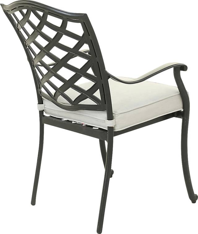 Outdoor Cyrielle I Gray Side Chair, Set of 2 - Thumbnail - Image 4